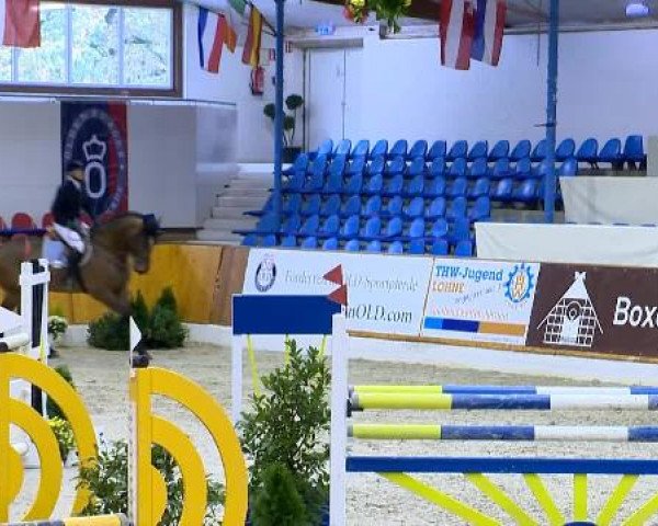 12. Hallenchampionat Vechta