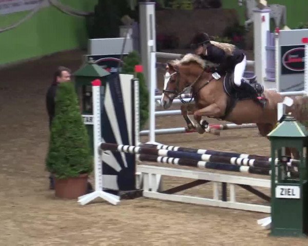 17. Legdener Pony-Meeting