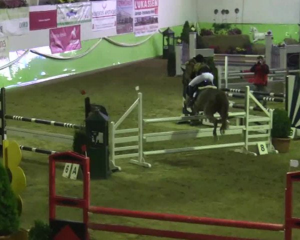 17. Legdener Pony-Meeting