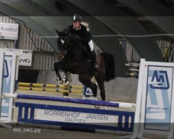 Springpferd Ka Dance (KWPN (Niederländisches Warmblut), 2015, von Cidane)