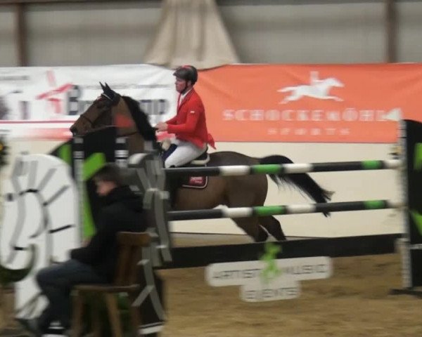 CSI* Damme 2014