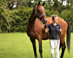 broodmare Renvers (Hanoverian, 2005, from Rousseau)