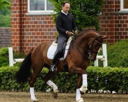 broodmare Diamond Queen S (Hanoverian, 2005, from Don Bosco)