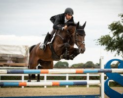 jumper DAKOTA BLUE GIRL (Oldenburger, 2011, from Diarado)