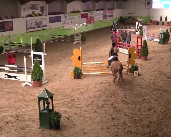 17. Legdener Pony-Meeting