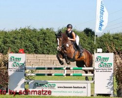 jumper Bucephalas B (German Sport Horse, 2005, from Balou du Rouet)