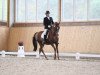 dressage horse Dupre 4 (German Riding Pony, 2007, from Do it Again)