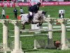 jumper Tamise de Thebergeais (French Pony, 2007, from Ultra de Ruille)