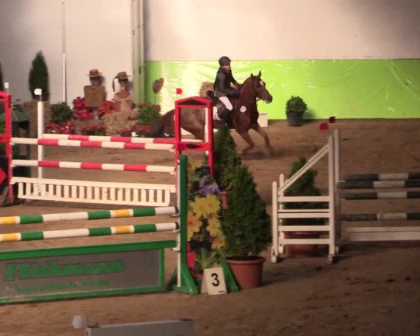 17. Legdener Pony-Meeting
