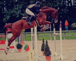 jumper Carl du Rouet (Oldenburg show jumper, 2011, from Cartoon)