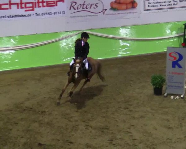 17. Legdener Pony-Meeting
