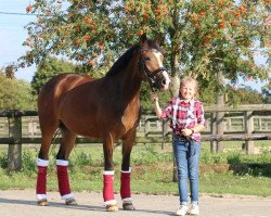 broodmare Diamond Kiss AT (German Riding Pony, 2016, from Diamond Touch NRW)