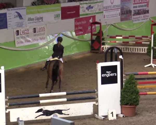 17. Legdener Pony-Meeting