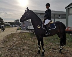 jumper Stanfour's Esme (Hanoverian, 2015, from Stanfour 4)