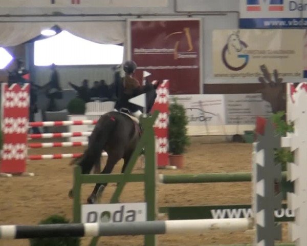 CSI* Damme 2014