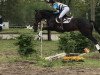 dressage horse Clärchen (Trakehner, 2012, from Olivander 2)