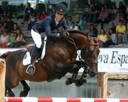 stallion Notrestar de la Nutria (Selle Français, 2001, from Quick Star)