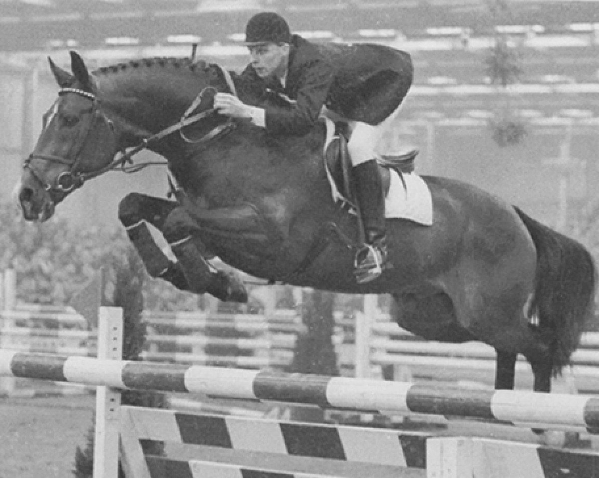 Deckhengst Nimmerdor (KWPN (Niederländisches Warmblut), 1972, von Farn)