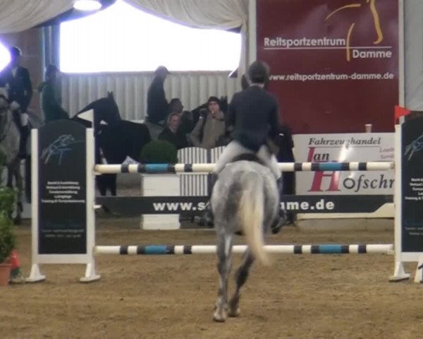 CSI* Damme 2014