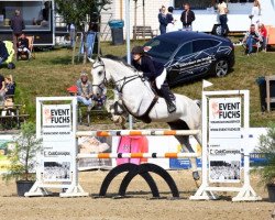 jumper Giovannie (KWPN (Royal Dutch Sporthorse), 2011, from Corland)