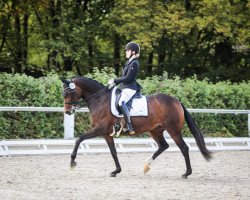 dressage horse Fräulein Fürstenball WR (Oldenburg, 2011, from Fürstenball)