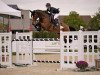 jumper Tara M (Irish Sport Horse, 2011, from Luidam)