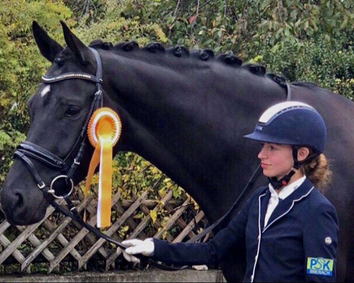 dressage horse Florett H (German Sport Horse, 2015, from Finest)