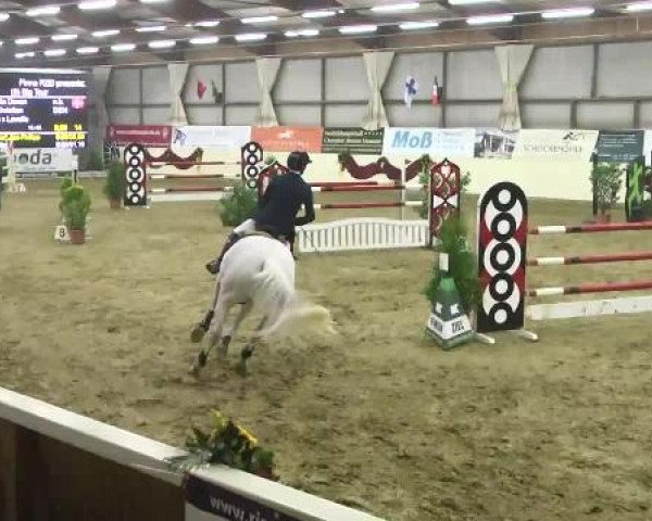 FEI Reitturnier Damme-Neuenwalde (GER) 2014