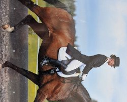 dressage horse Rigoletto Royal (Hanoverian, 2005, from Rubin Royal OLD)