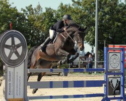 jumper Birdie 7 (Hanoverian, 2009, from Balou du Rouet)