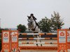 stallion Grey Chester 2 (Hanoverian, 2012, from Grey Top)