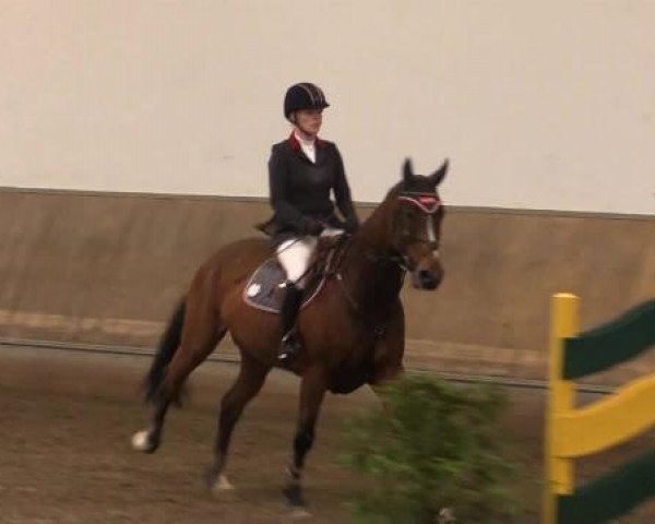 Hallenturnier RV Giebelwald e.V. 2014