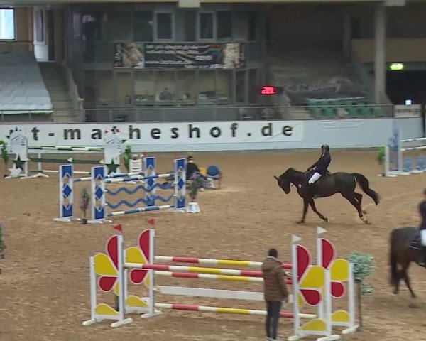 Reitturnier Kreuth/Opf. 2021