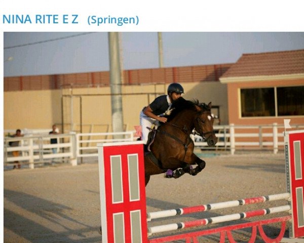 Springpferd Nina Rite E Z (Zangersheide Reitpferd, 2010, von Numero Uno)