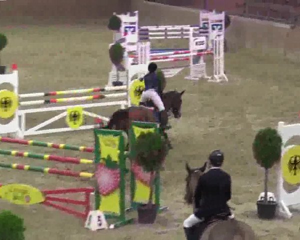 Junior-Open 2014