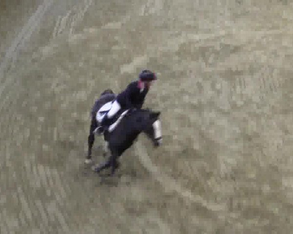 Junior-Open 2014