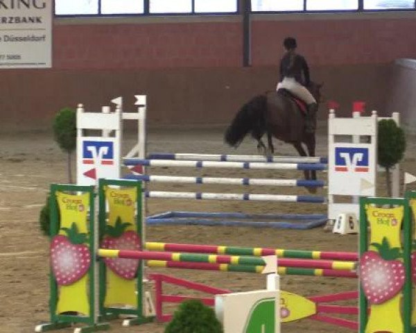 Junior-Open 2014