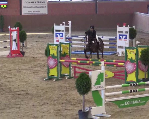 Junior-Open 2014