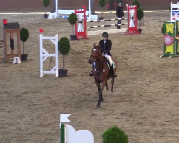 Junior-Open 2014