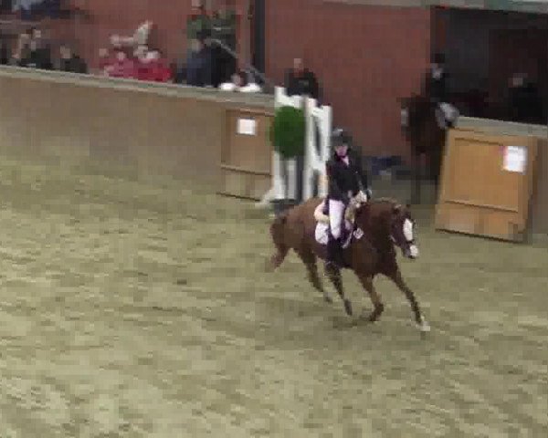 Junior-Open 2014