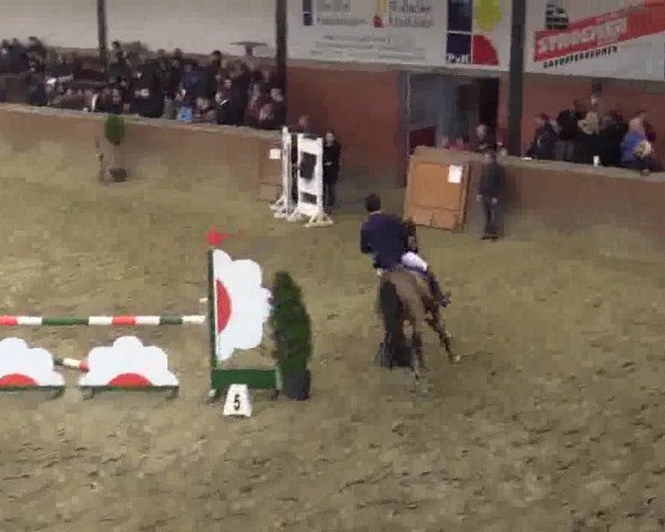 Junior-Open 2014