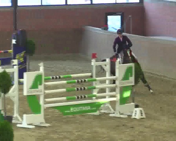 Junior-Open 2014