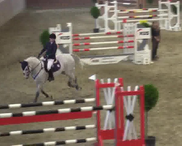 Junior-Open 2014