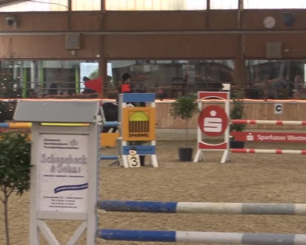 Hallen-Jugend-Springturnier Südlohn-Oeding 2014