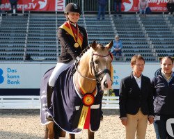 stallion Clooney (German Riding Pony, 2012, from NK Cyrill)