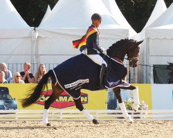 dressage horse Candy OLD (Oldenburg, 2013, from Sir Donnerhall I)