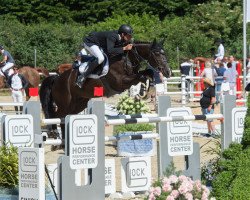 jumper Evening Black (Hannoveraner, 2006, from Escudo I)