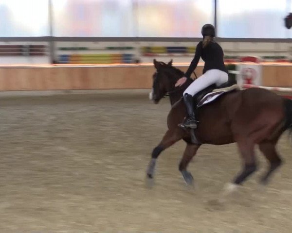 Hallen-Jugend-Springturnier Südlohn-Oeding 2014