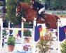 jumper Apart (KWPN (Royal Dutch Sporthorse), 2005, from Querlybet Hero)