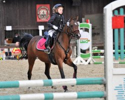 jumper Condors Grace (Irish Sport Horse, 2006, from Red House Condor ox)